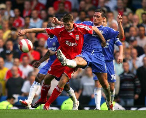 迷们的关注 迷们的关注